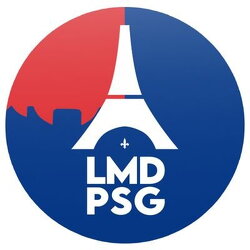 Logo et bannière lmdpsg